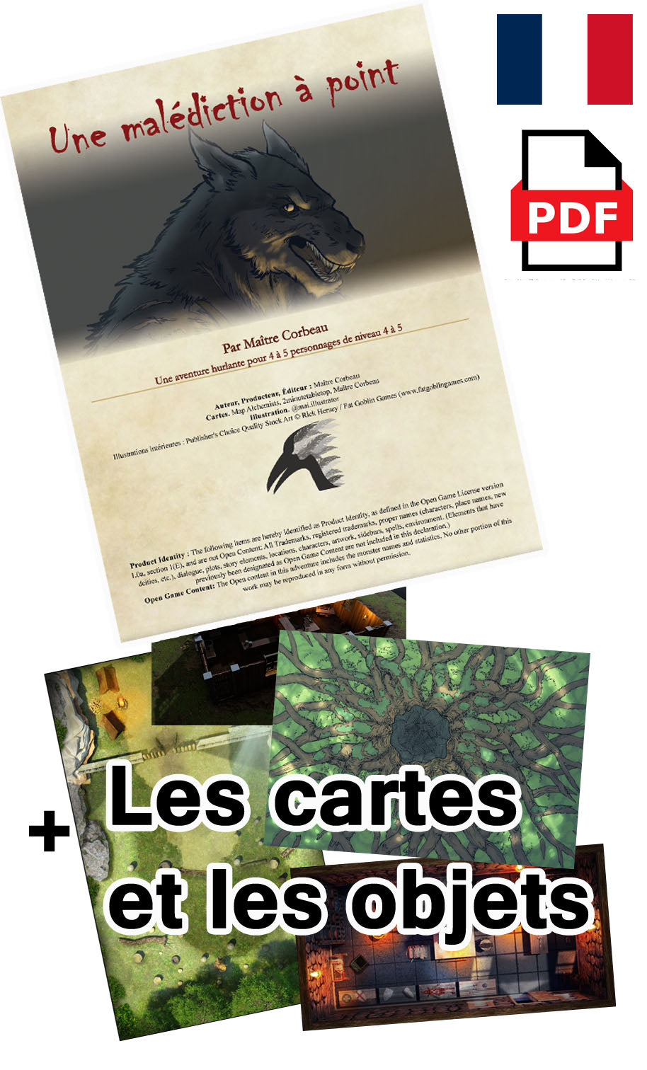FR - Une malédiction à point - Aventure complète PDF